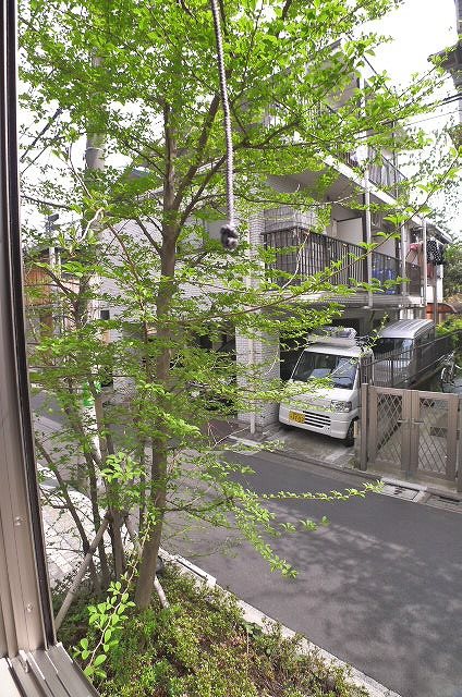 モンテ・ベルデ 眺望
