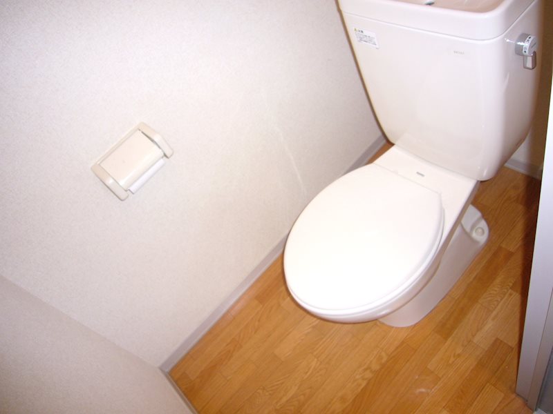 ドミール2001 トイレ