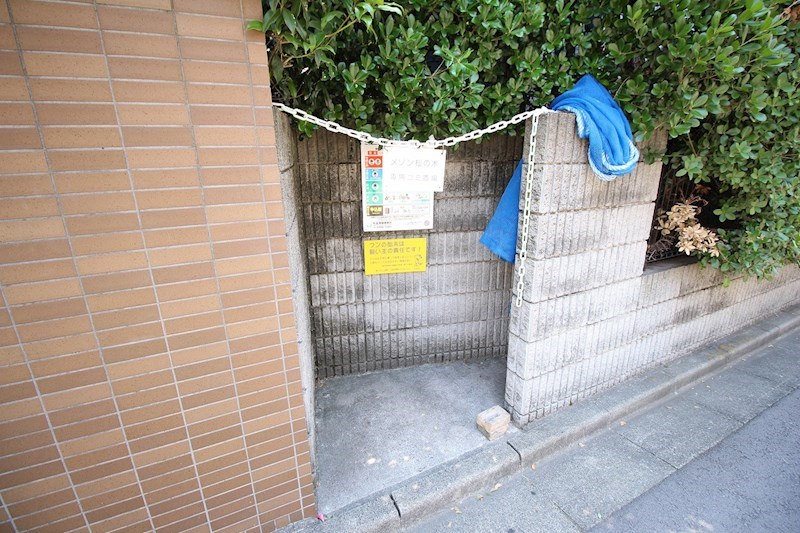 maison MATSUNOKI（メゾンマツノキ） 外観画像